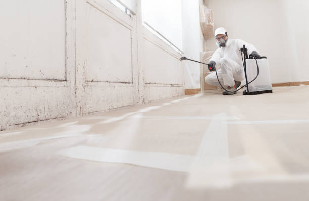 24/7 Emergency Basement Mold Remediation experts in Flinton, PA